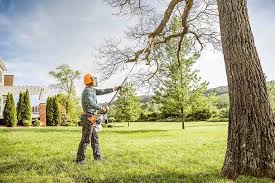 Best Soil Testing and Treatment  in Dogtown, CA